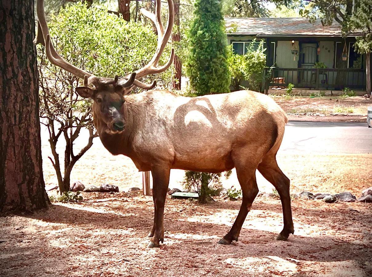 Hidden Gem Retreat In The Heart Of Payson Villa Exteriör bild